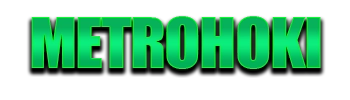 Logo METROHOKI